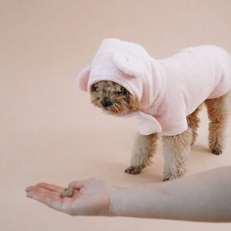 Strawberry Milk Drying Bathrobe