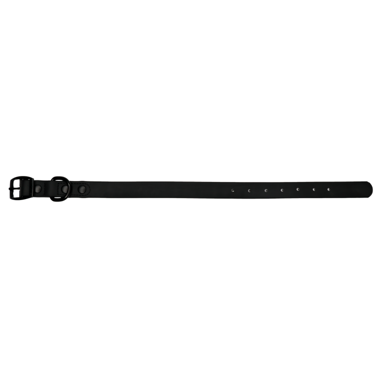 Black Waterproof Collar