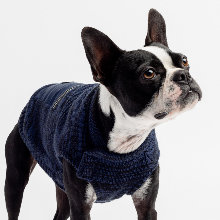 Navy Fleece Lined Sweater