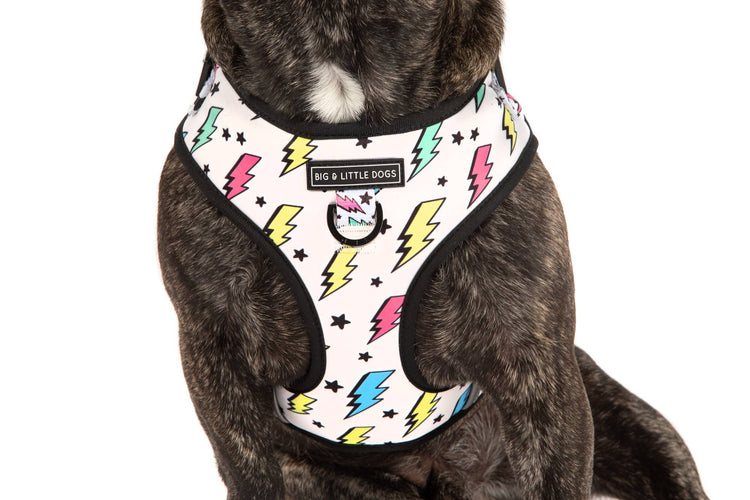 Bolt Adjustable Harness