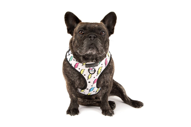Bolt Adjustable Harness