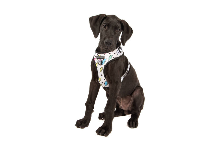 Bolt Adjustable Harness