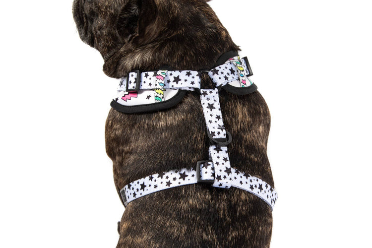 Bolt Adjustable Harness