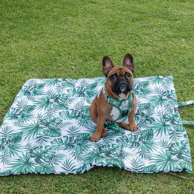 Reversible Travel Mat - Paradise Palm