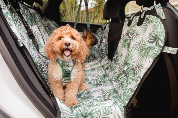Premium Hammock Car Seat Cover - Paradise Palm
