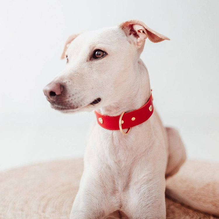Red Leather Heart Collar