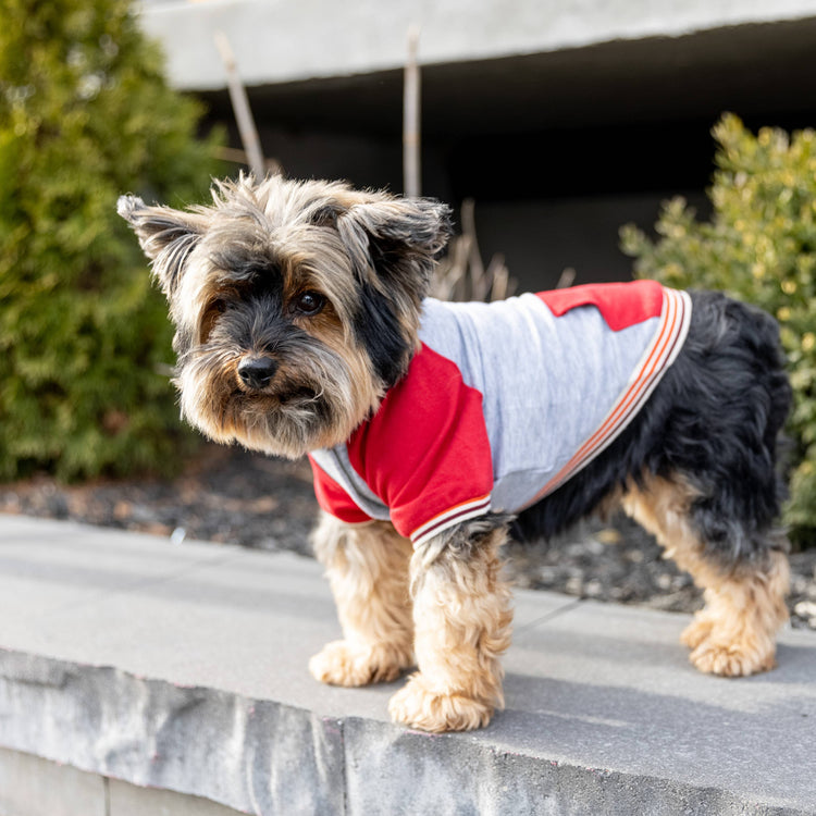 Chase Sweater