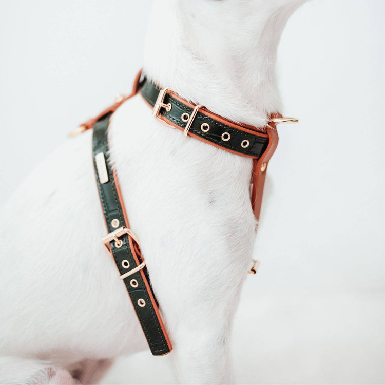 Dark Green Leather Strap Harness