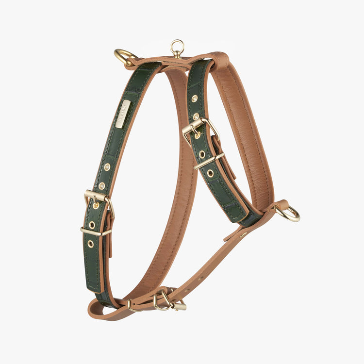 Dark Green Leather Strap Harness