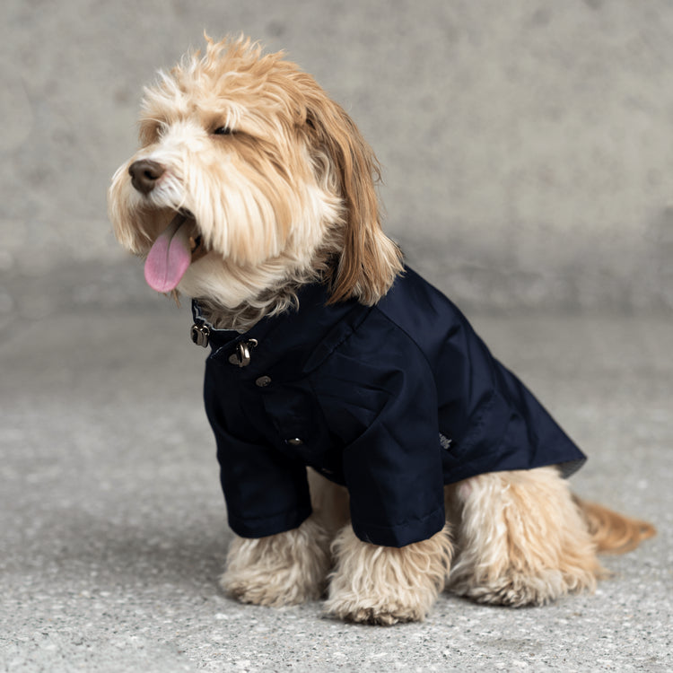 Jean-Paul Raincoat
