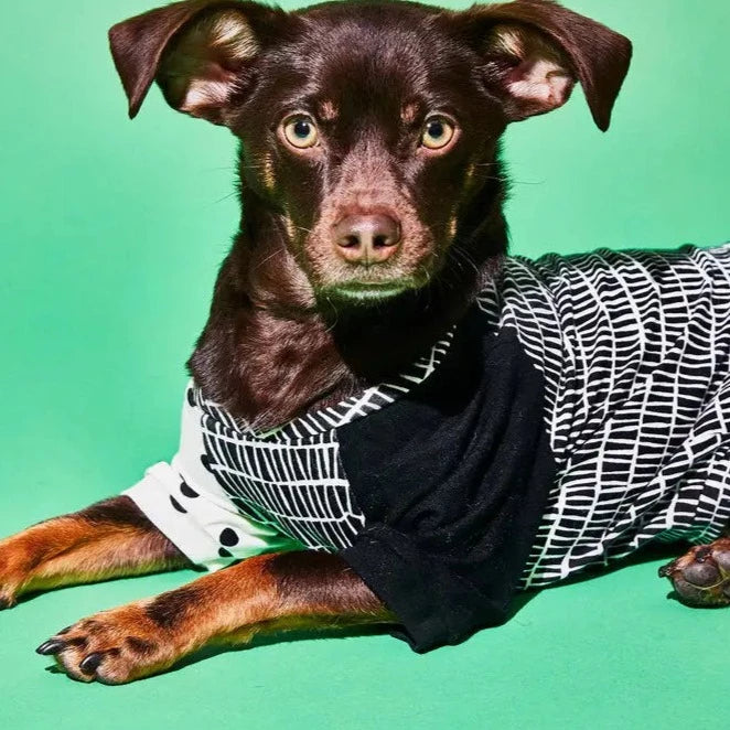 Geometric Print Sweater