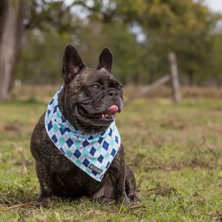 Blue Diamonds Bandana