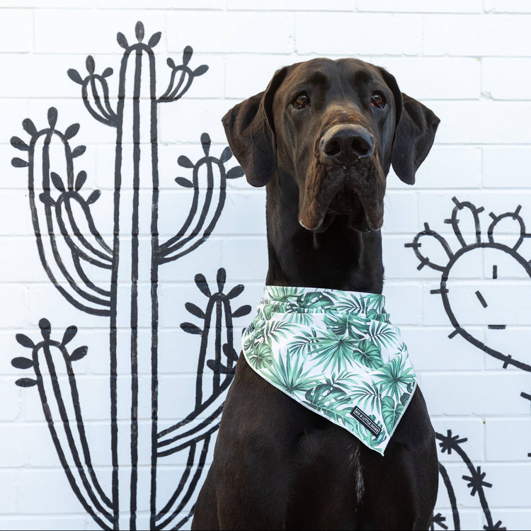 Paradise Palm Bandana