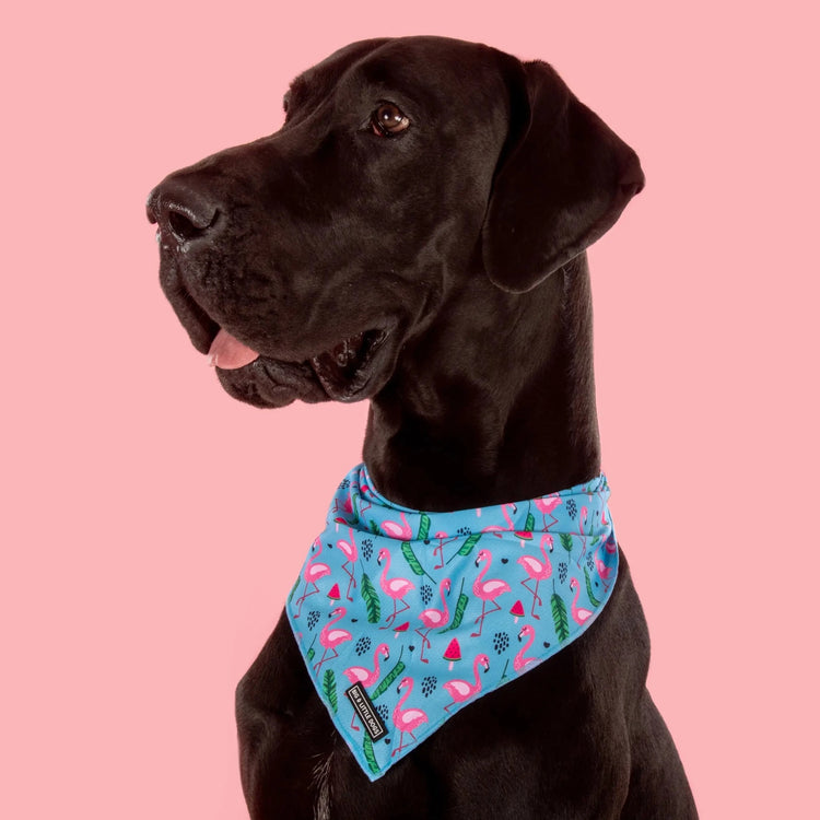 Flocking Fabulous Bandana