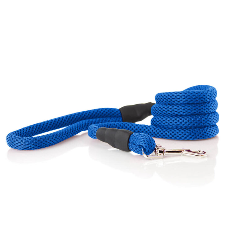 Blue Mesh Lead