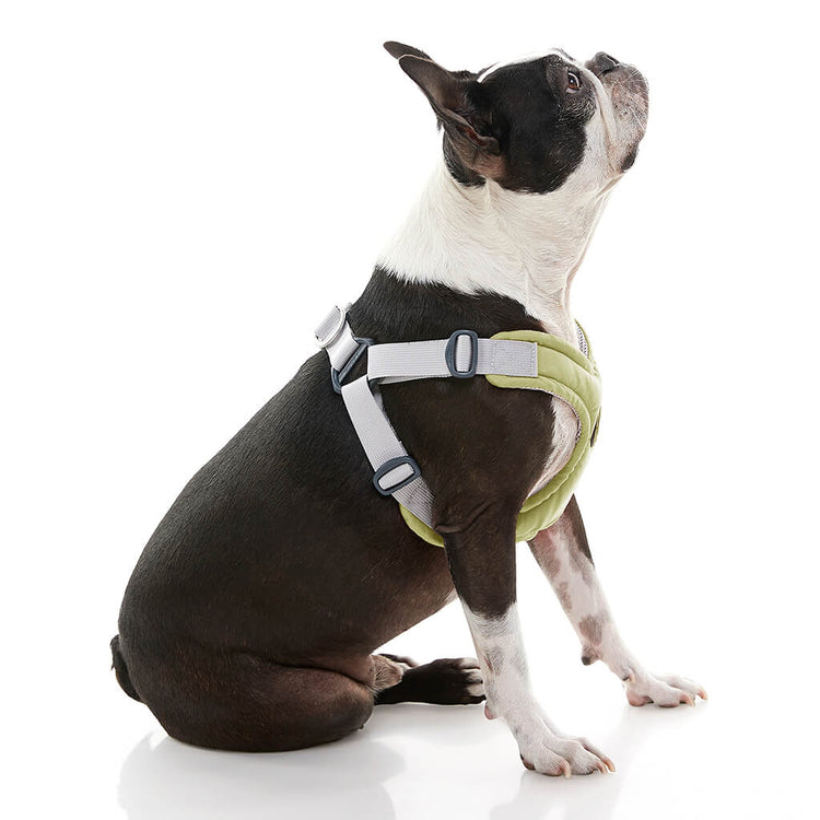 Memory Foam Step-In Harness - Sage