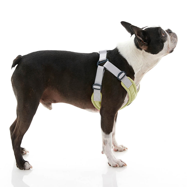 Memory Foam Step-In Harness - Sage