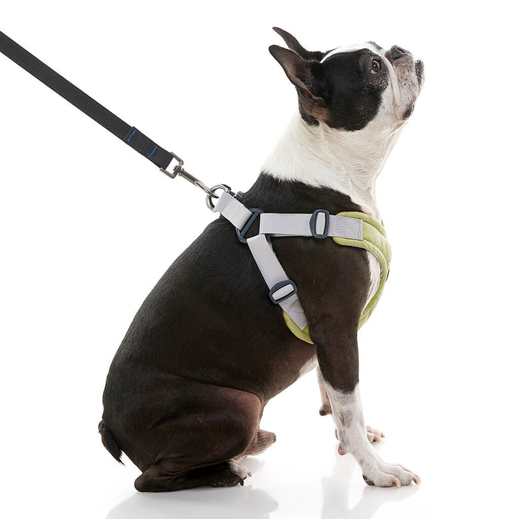 Memory Foam Step-In Harness - Sage