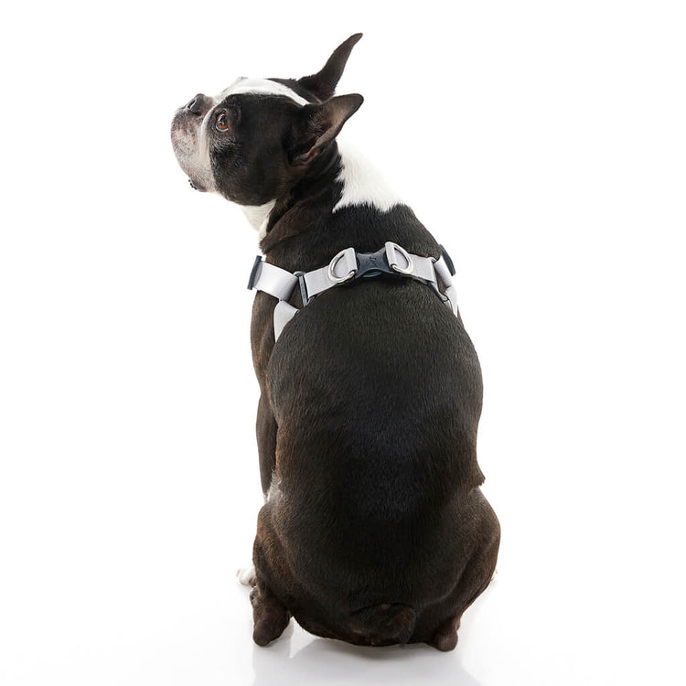Memory Foam Step-In Harness - Purple