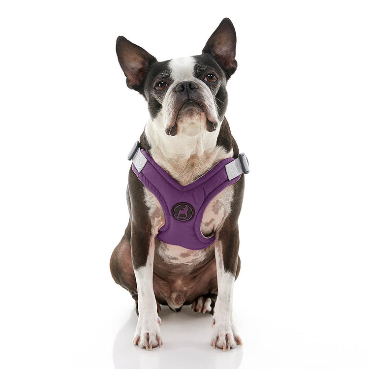 Memory Foam Step-In Harness - Purple