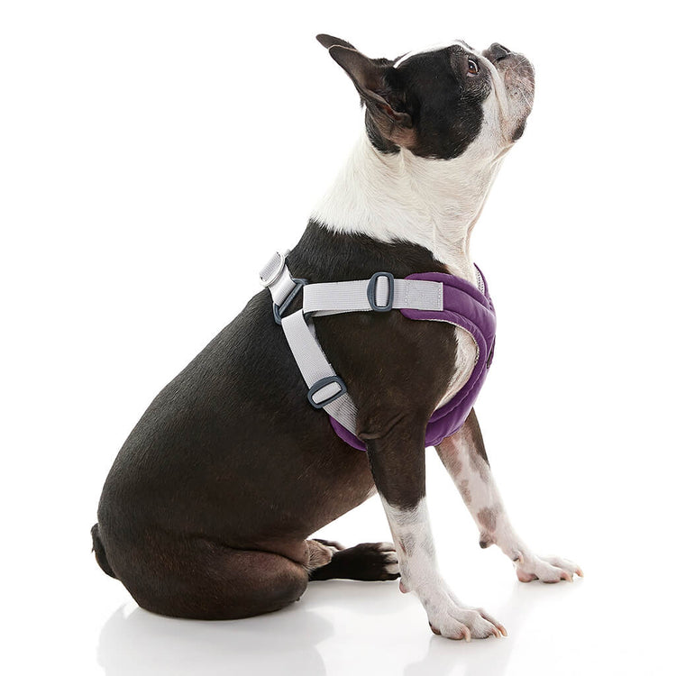 Memory Foam Step-In Harness - Purple