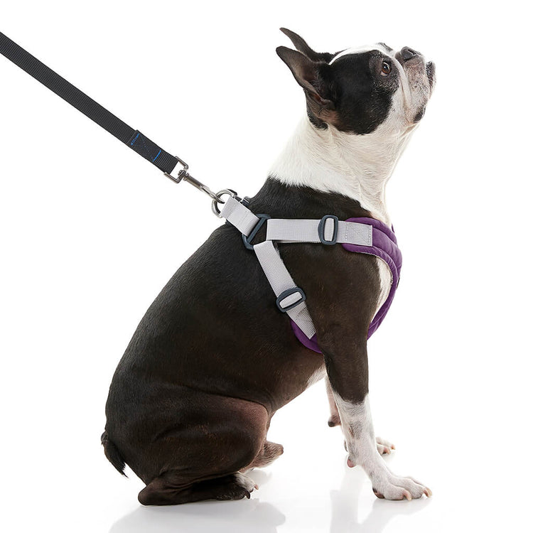 Memory Foam Step-In Harness - Purple