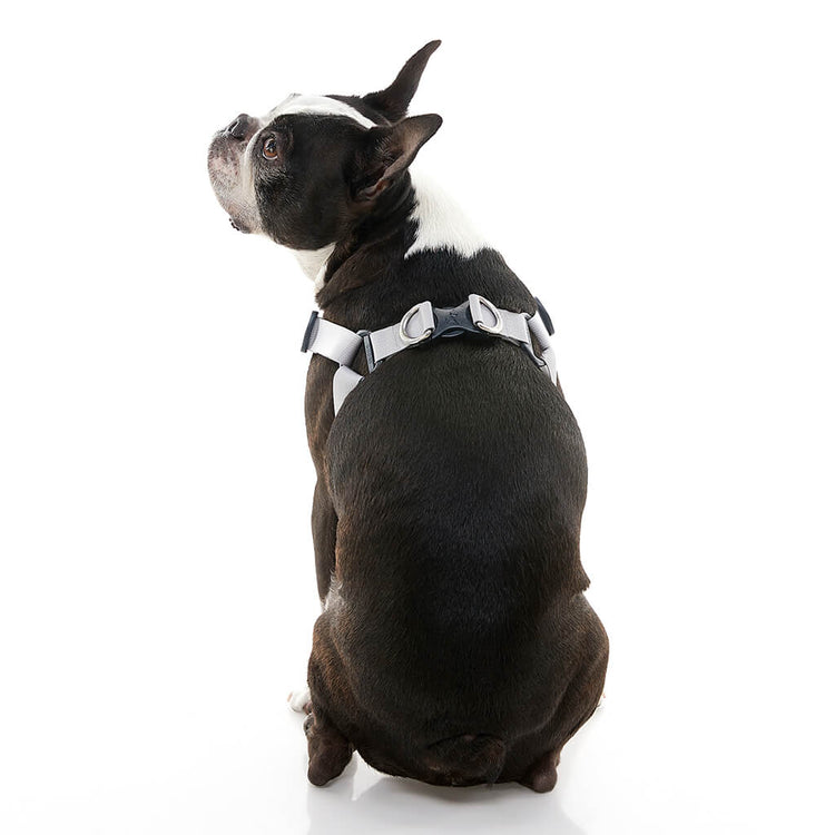 Memory Foam Step-In Harness - Turquoise