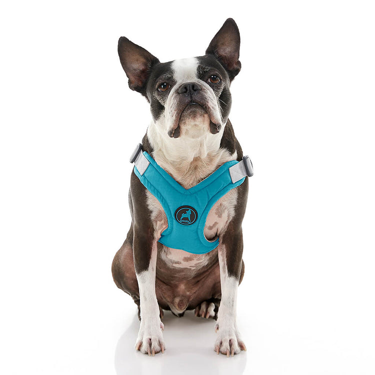 Memory Foam Step-In Harness - Turquoise