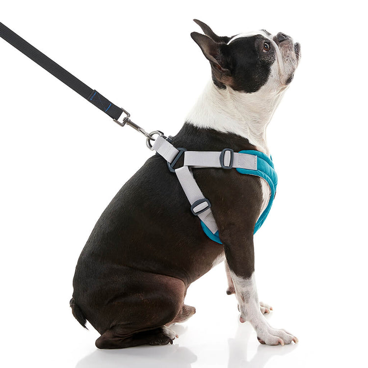 Memory Foam Step-In Harness - Turquoise