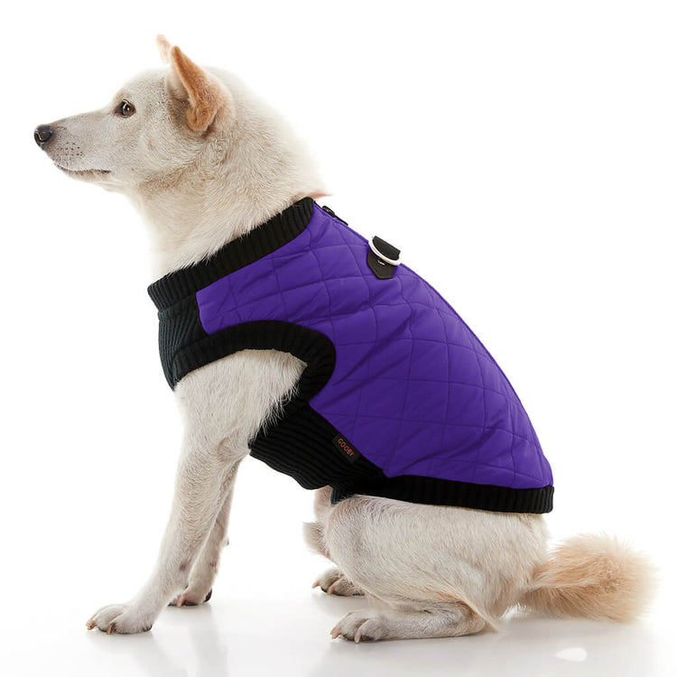 Purple Quilted Bomber