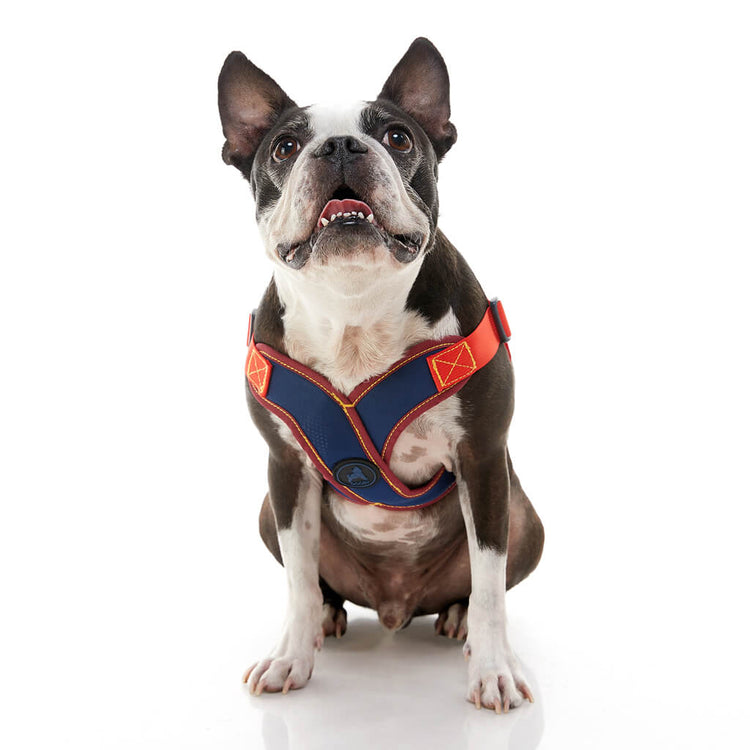 Comfort X Step-In Harness - Navy/Red