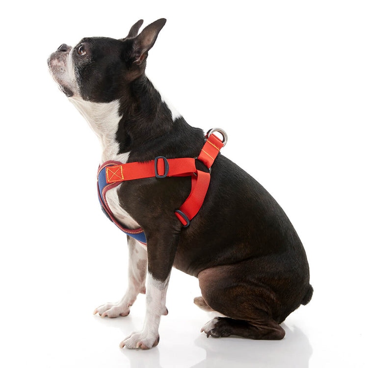 Comfort X Step-In Harness - Navy/Red