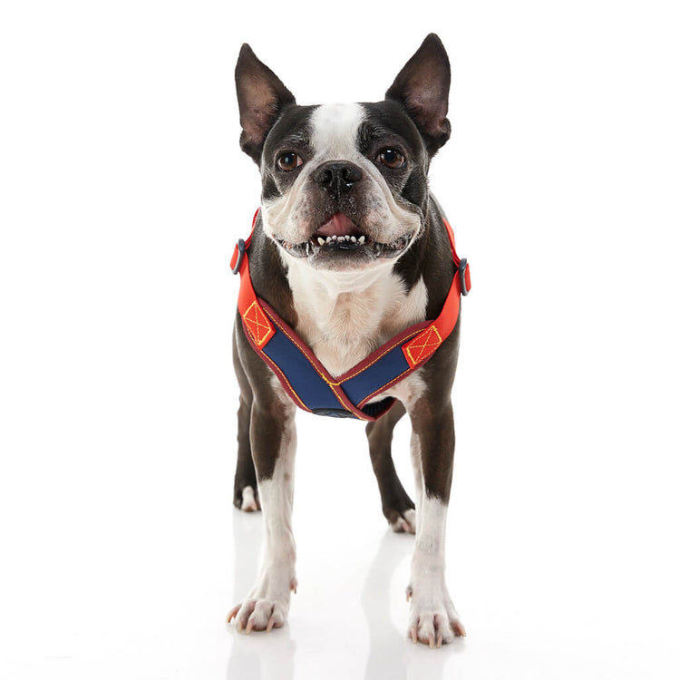 Comfort X Step-In Harness - Navy/Red