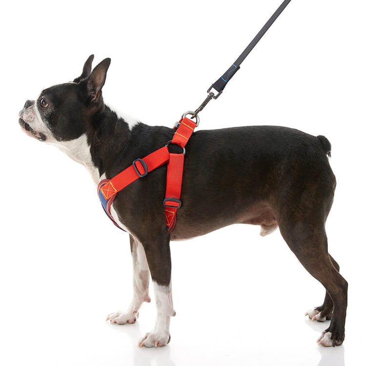 Comfort X Step-In Harness - Navy/Red