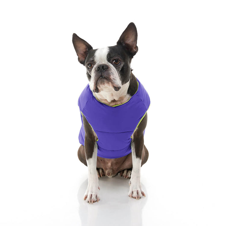 Purple Padded Back Clip Vest