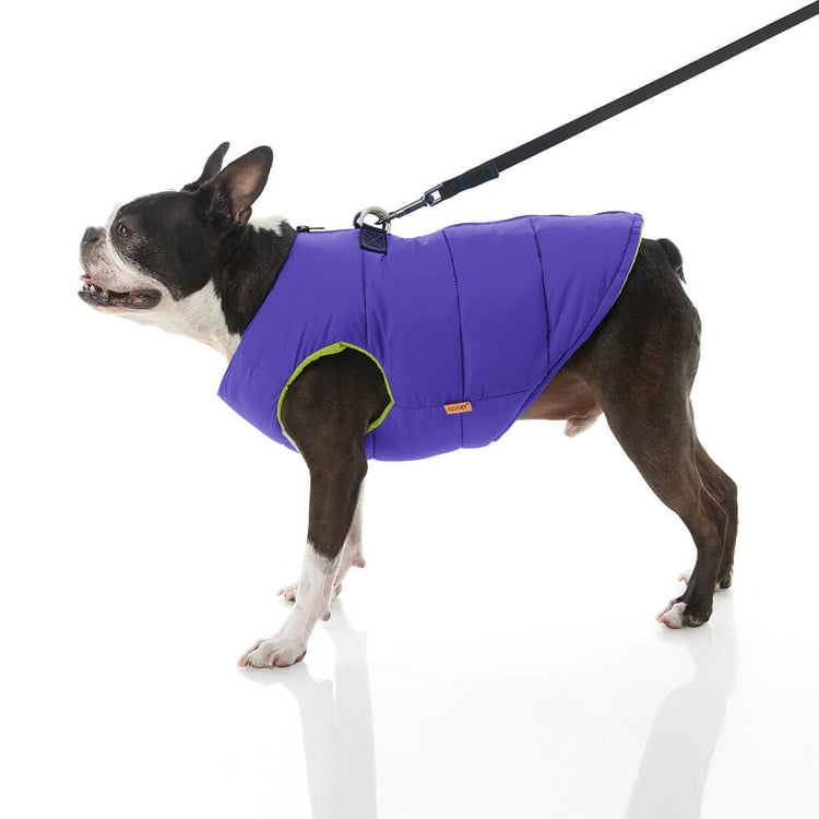 Purple Padded Back Clip Vest