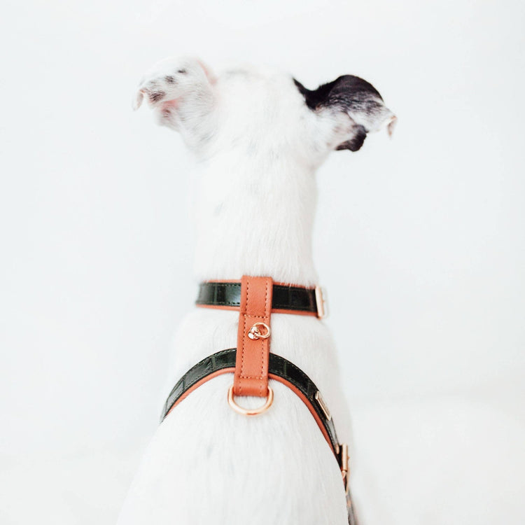 Dark Green Leather Strap Harness