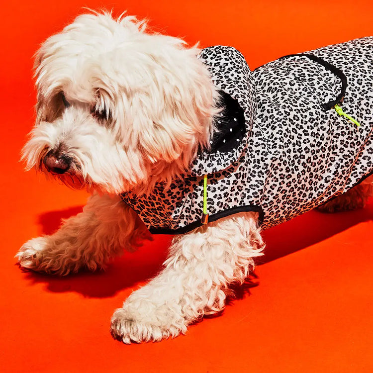 Black & White Leopard Print Raincoat w/Hood