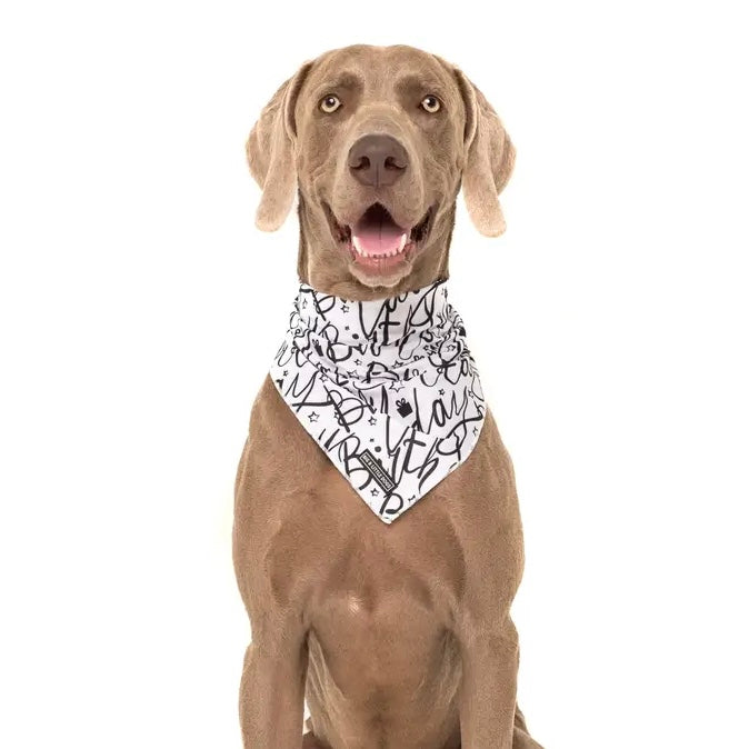 Birthday Bandana