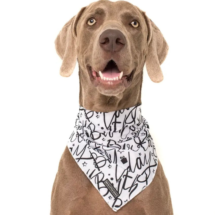 Birthday Bandana