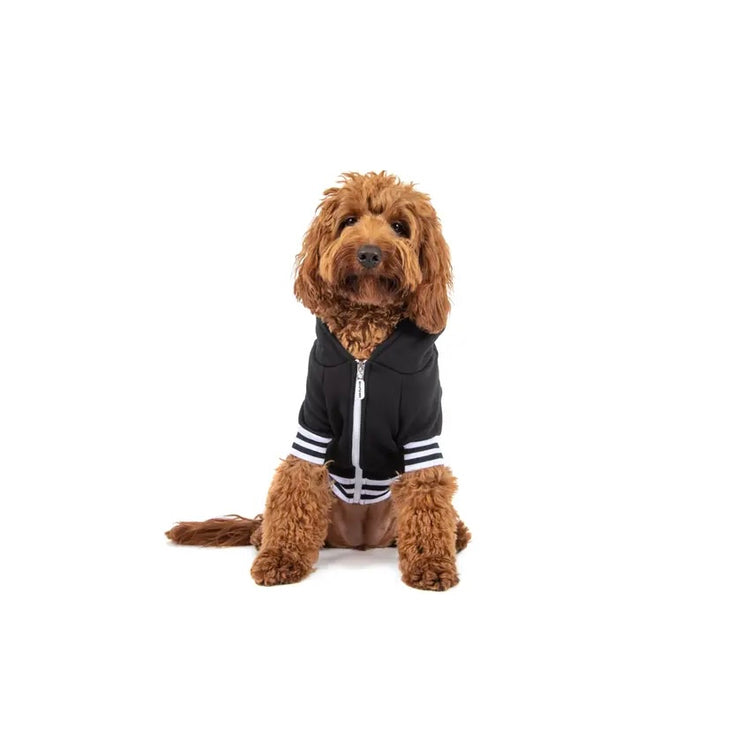 Black Luxe Hoodie
