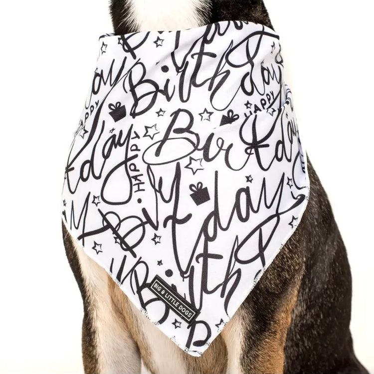 Birthday Bandana