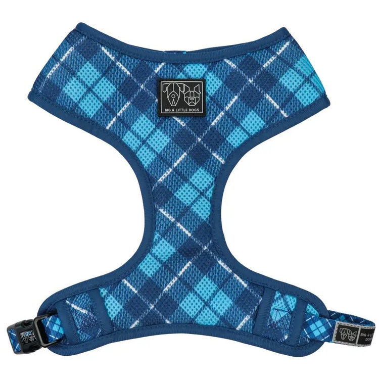 His Plaid Harness
