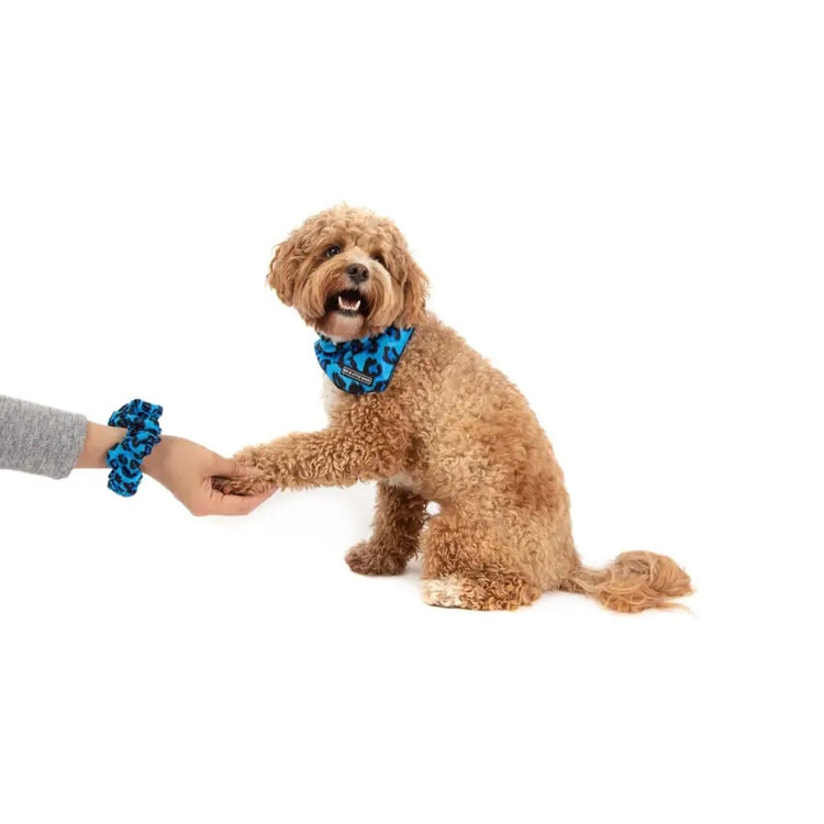 Blue Leopard Scrunchie