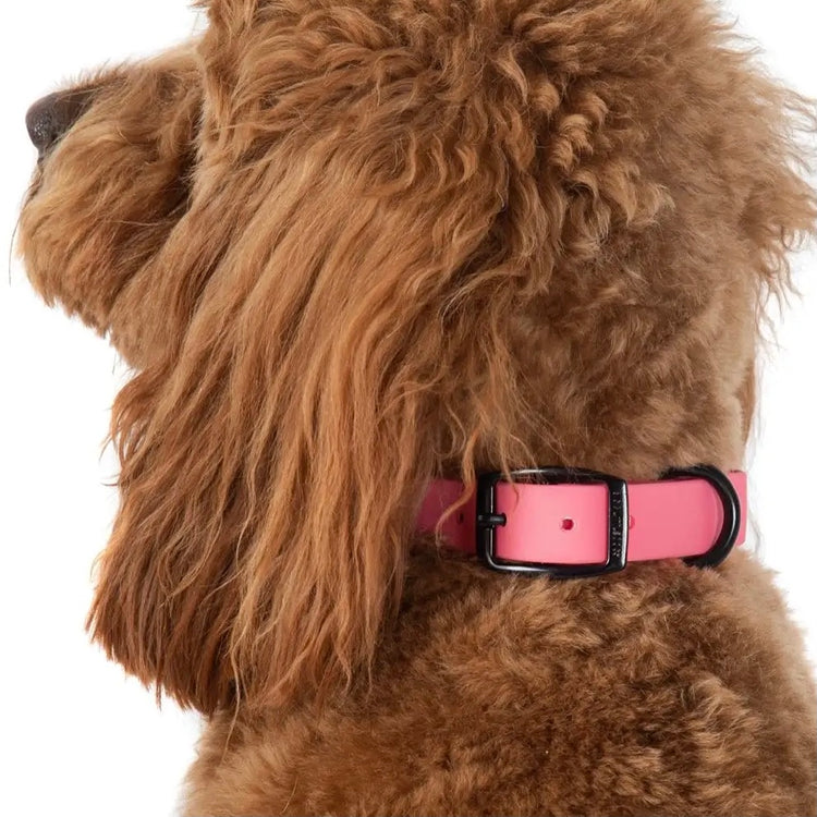 Bubblegum Pink Waterproof Collar