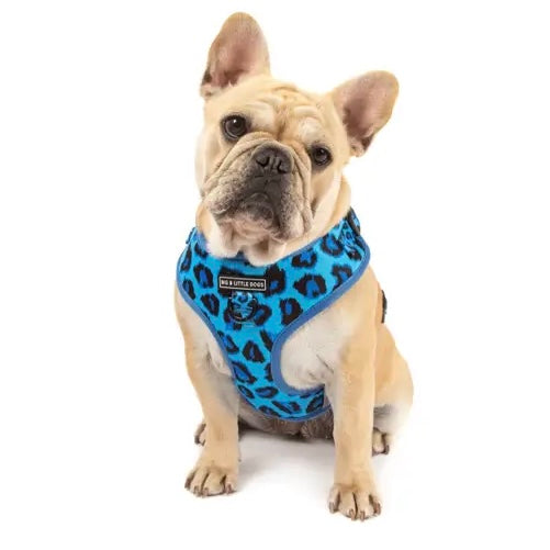 Blue Leopard Dog Harness