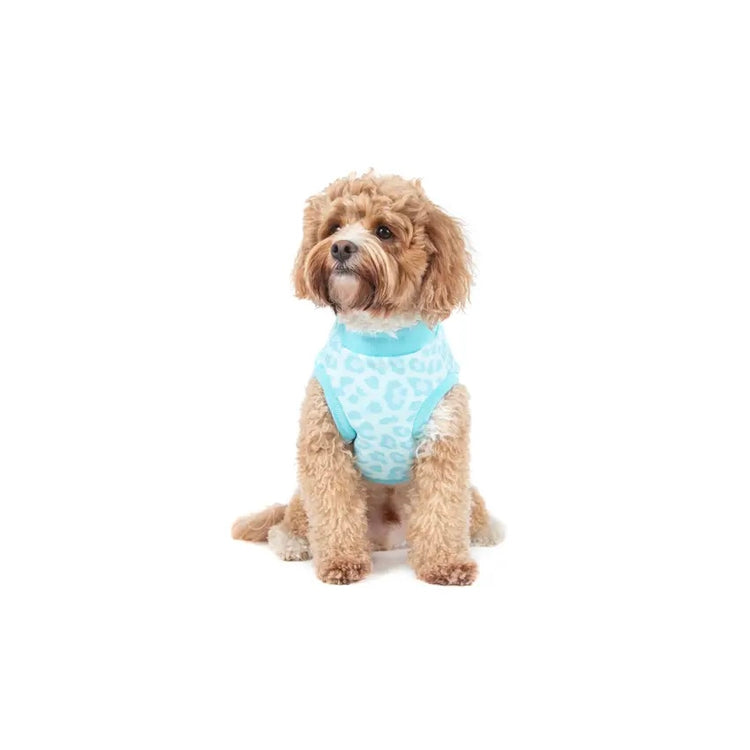 Baby Blue Leopard Fleece