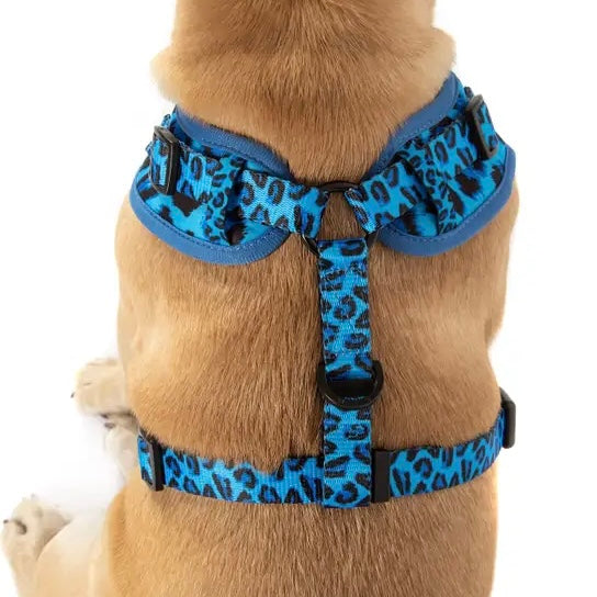 Blue Leopard Dog Harness