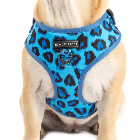 Blue Leopard Dog Harness