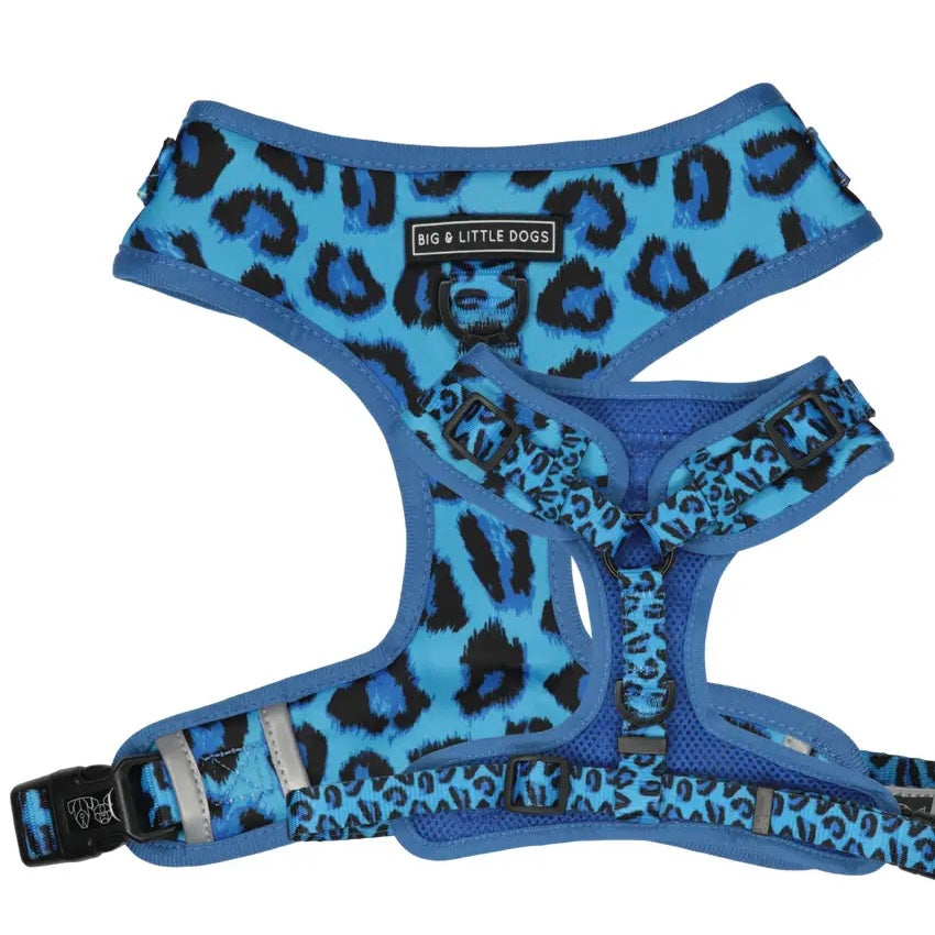 Blue Leopard Dog Harness